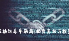 揭秘区块链养牛骗局：揭